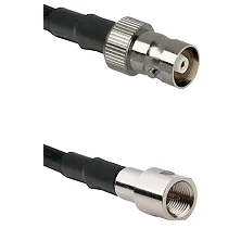 fieldcomponents202607192051262550974