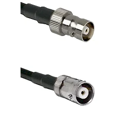 fieldcomponents202607192051312550991