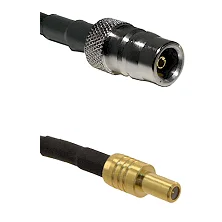 fieldcomponents202607192106442553888