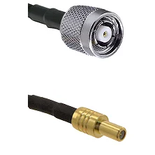 fieldcomponents202607192129082557511