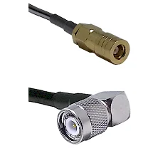 fieldcomponents202607192157462561978