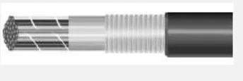 prowireandcable202607171820041832636