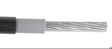 prowireandcable202607171831501835164